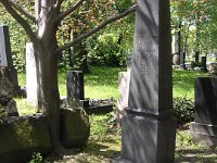 01-44 Budenz József